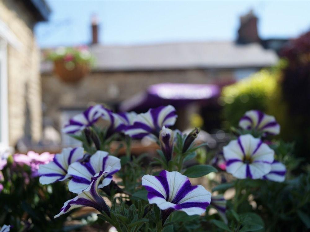 The Plough Bicester Kültér fotó